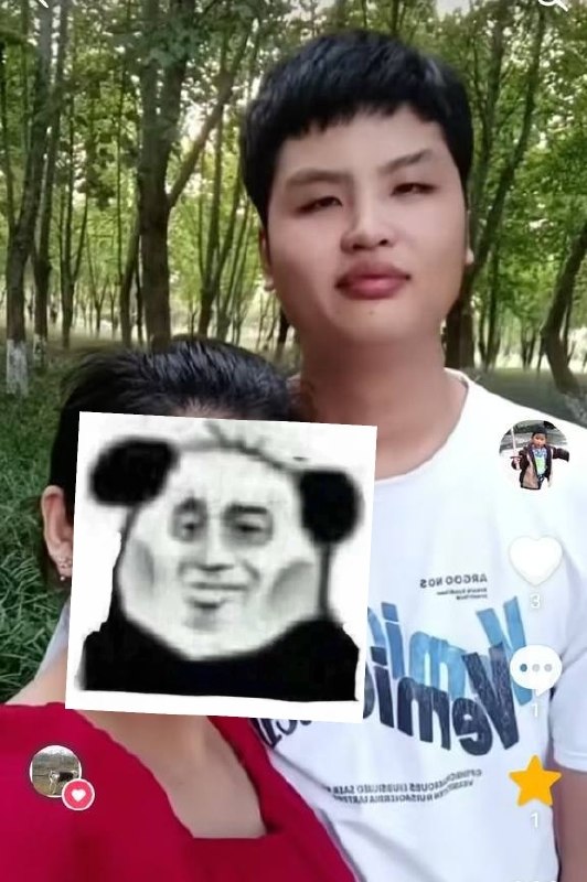投稿配图