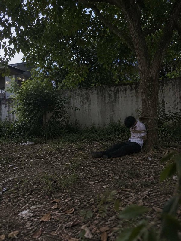 投稿配图