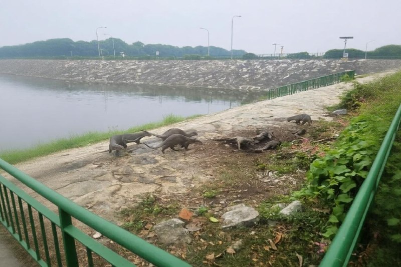投稿配图