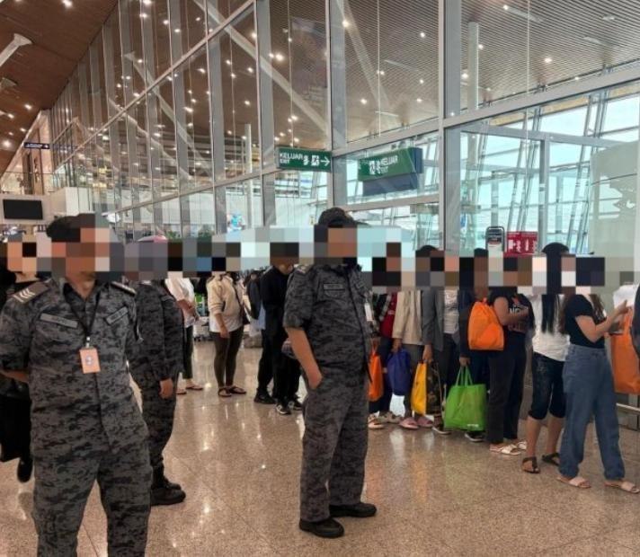 投稿配图