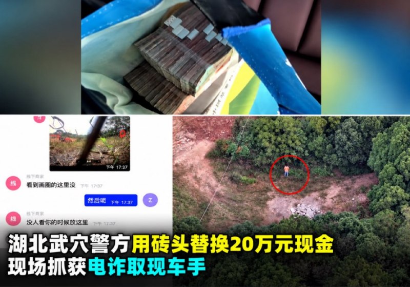 投稿配图