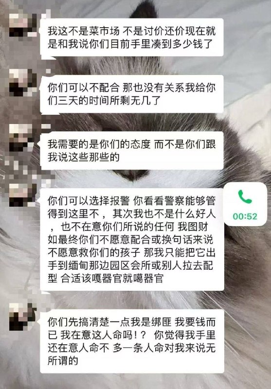 投稿配图