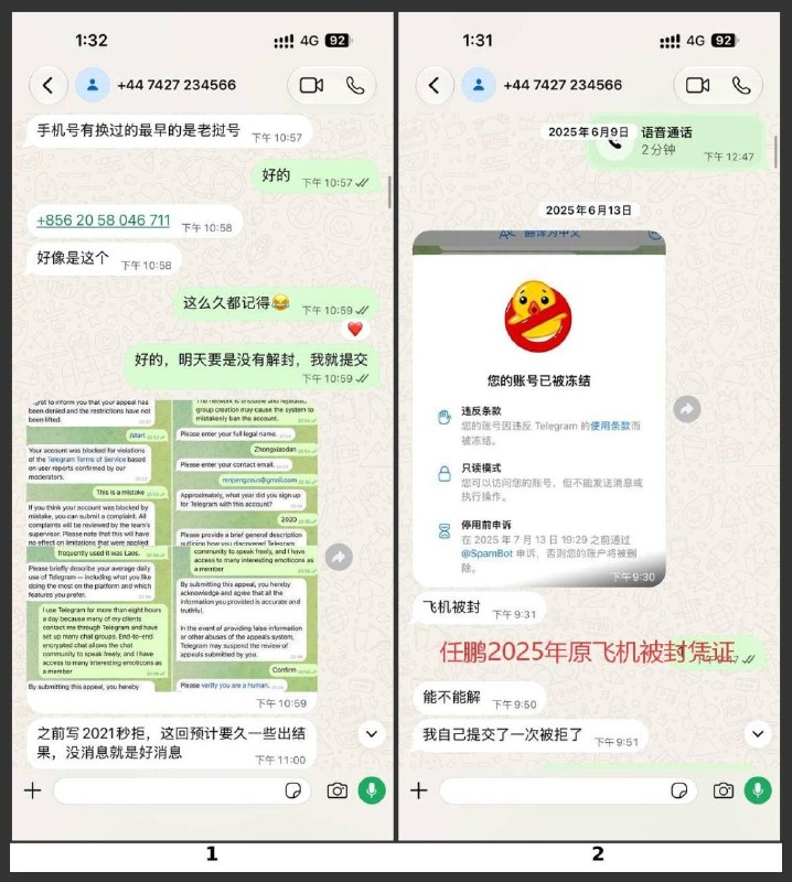 投稿配图