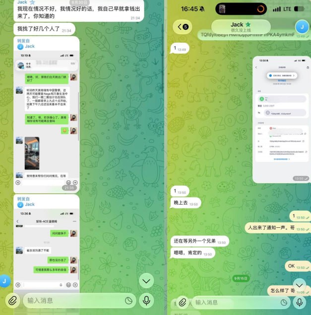 投稿配图