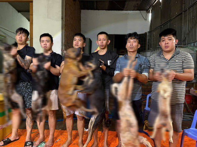 投稿配图