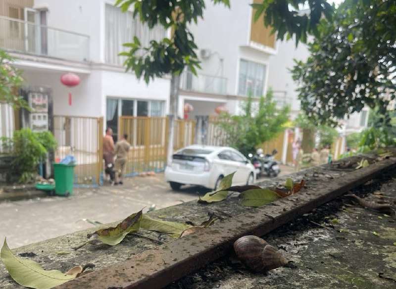 投稿配图