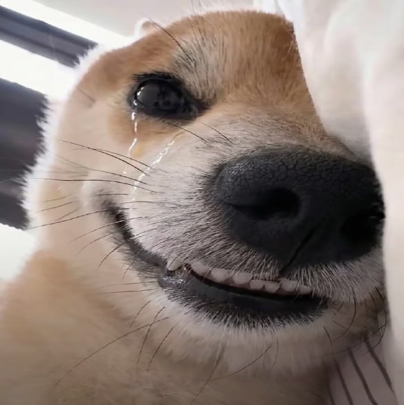 投稿配图
