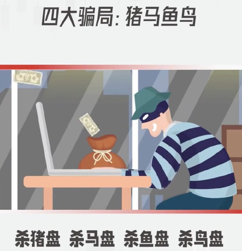 投稿配图
