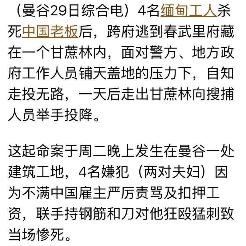 投稿配图