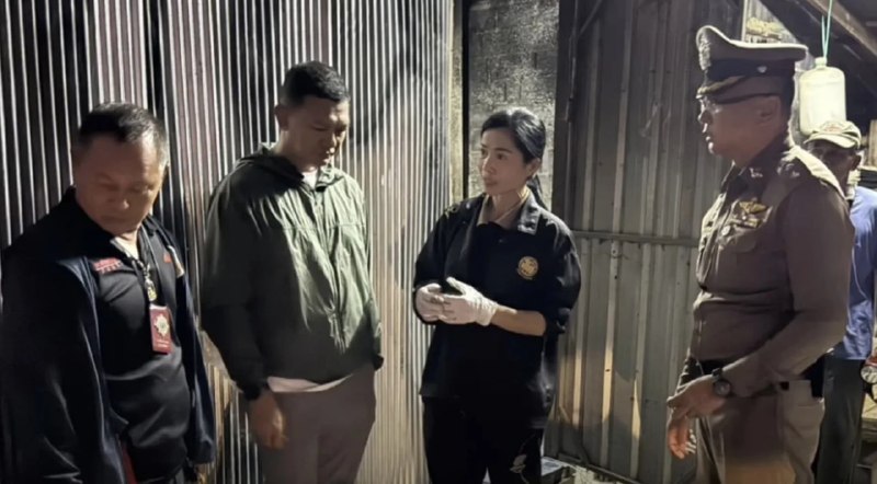 投稿配图