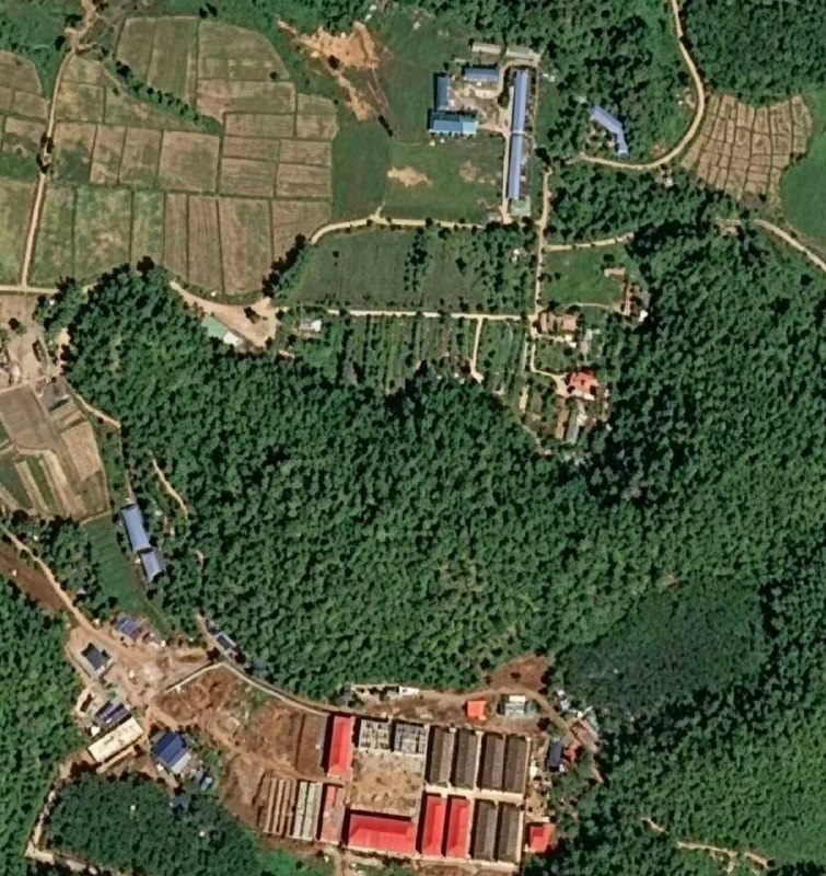 投稿配图