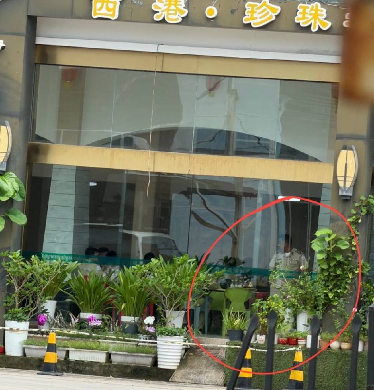投稿配图