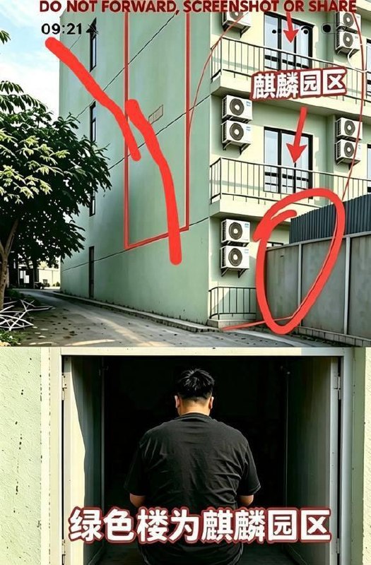 投稿配图