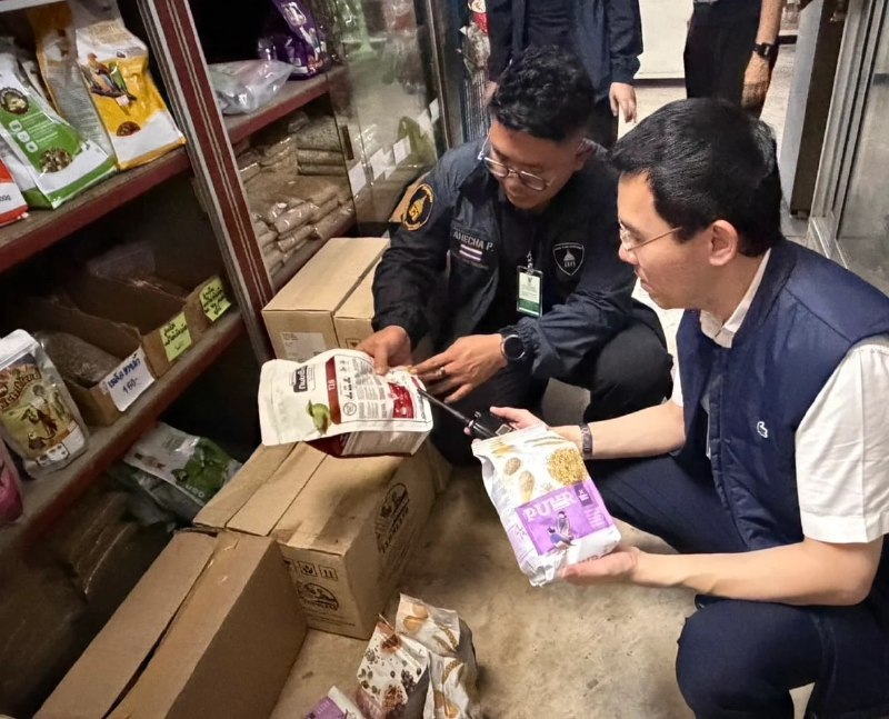 投稿配图